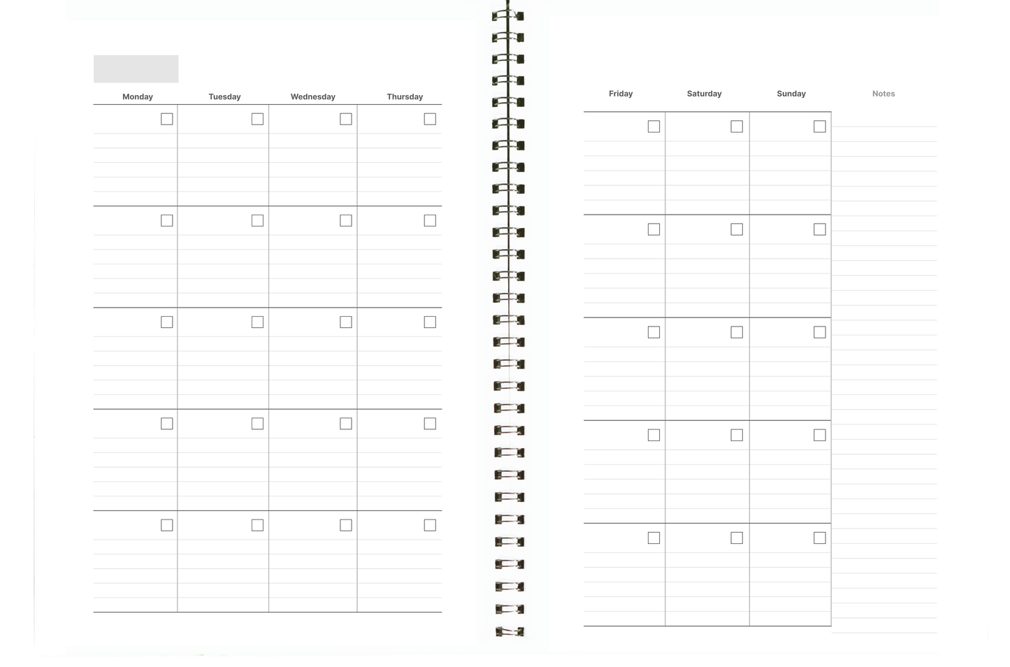 Undated Planner: Deliberate Diva